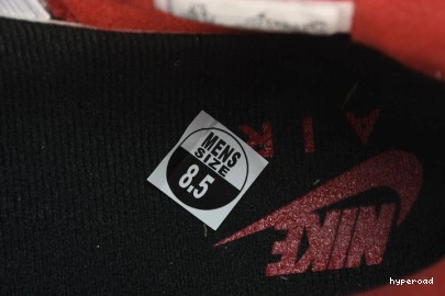 Hyperoad RETRO THE 'WHAT 4' AIR 4 JORDAN SE 1029